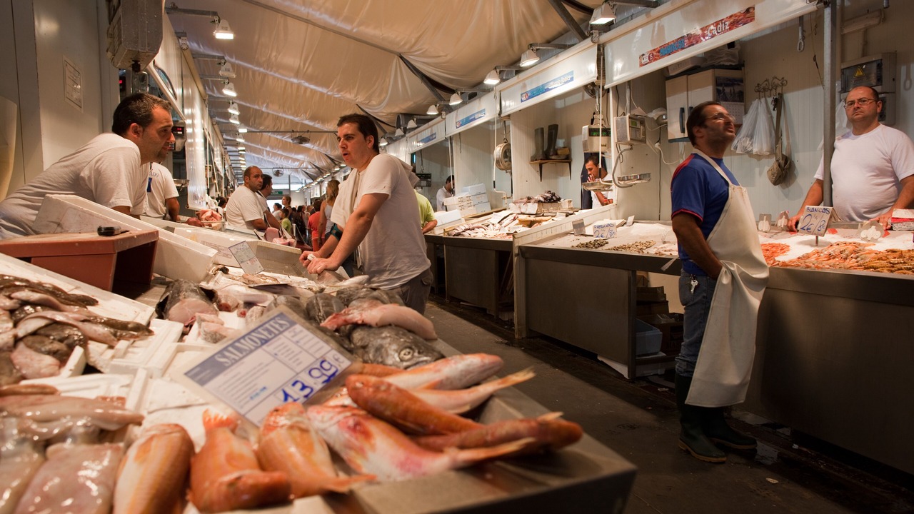 Photo of Others in Cadiz