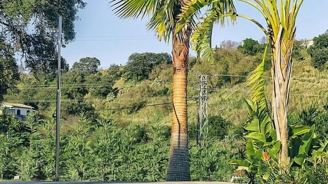Photo of Outdoor in Alhaurin el Grande