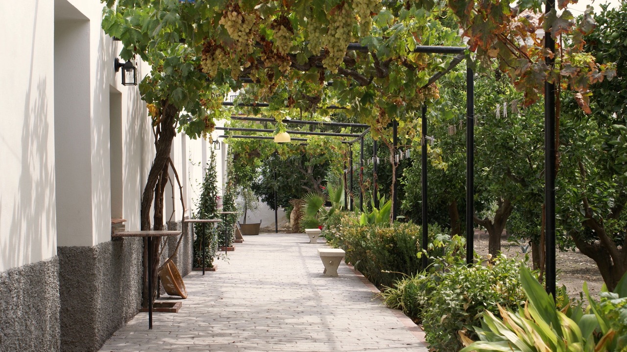 Photo of Outdoor in Murchas