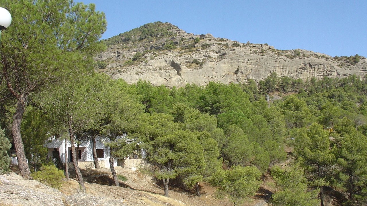 Photo of Others in Ardales