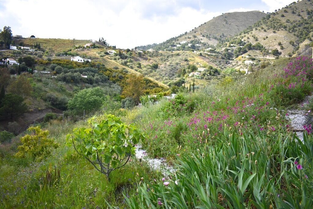 Photo of Outdoor in Competa