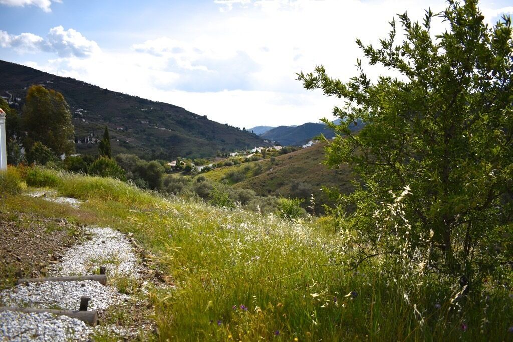 Photo of Outdoor in Competa