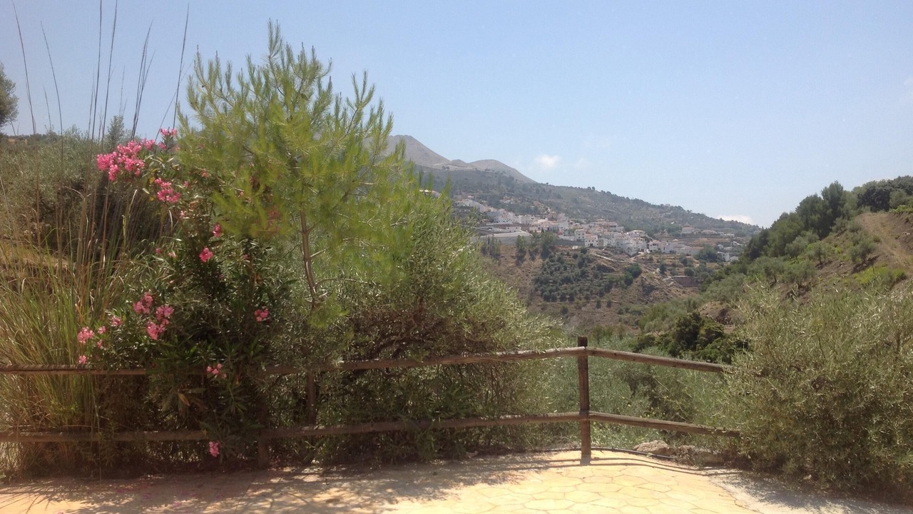 Photo of Others in Canillas de Albaida