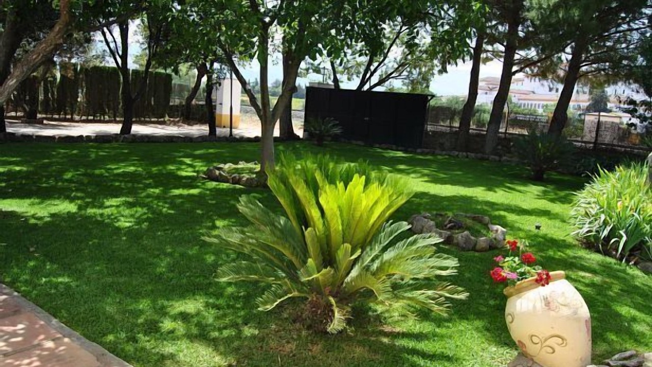 Photo of Outdoor in Ronda