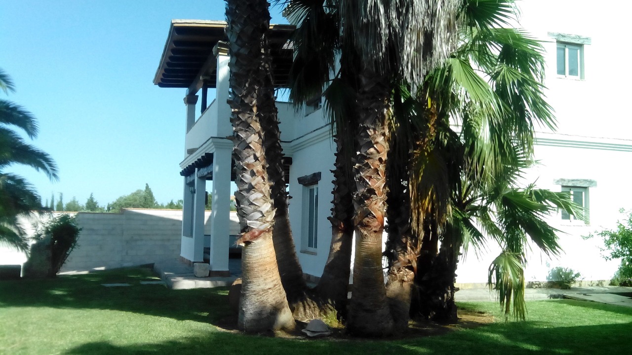Photo of Outdoor in Conil de la Frontera