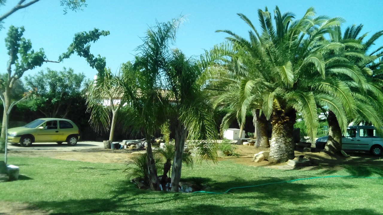 Photo of Outdoor in Conil de la Frontera