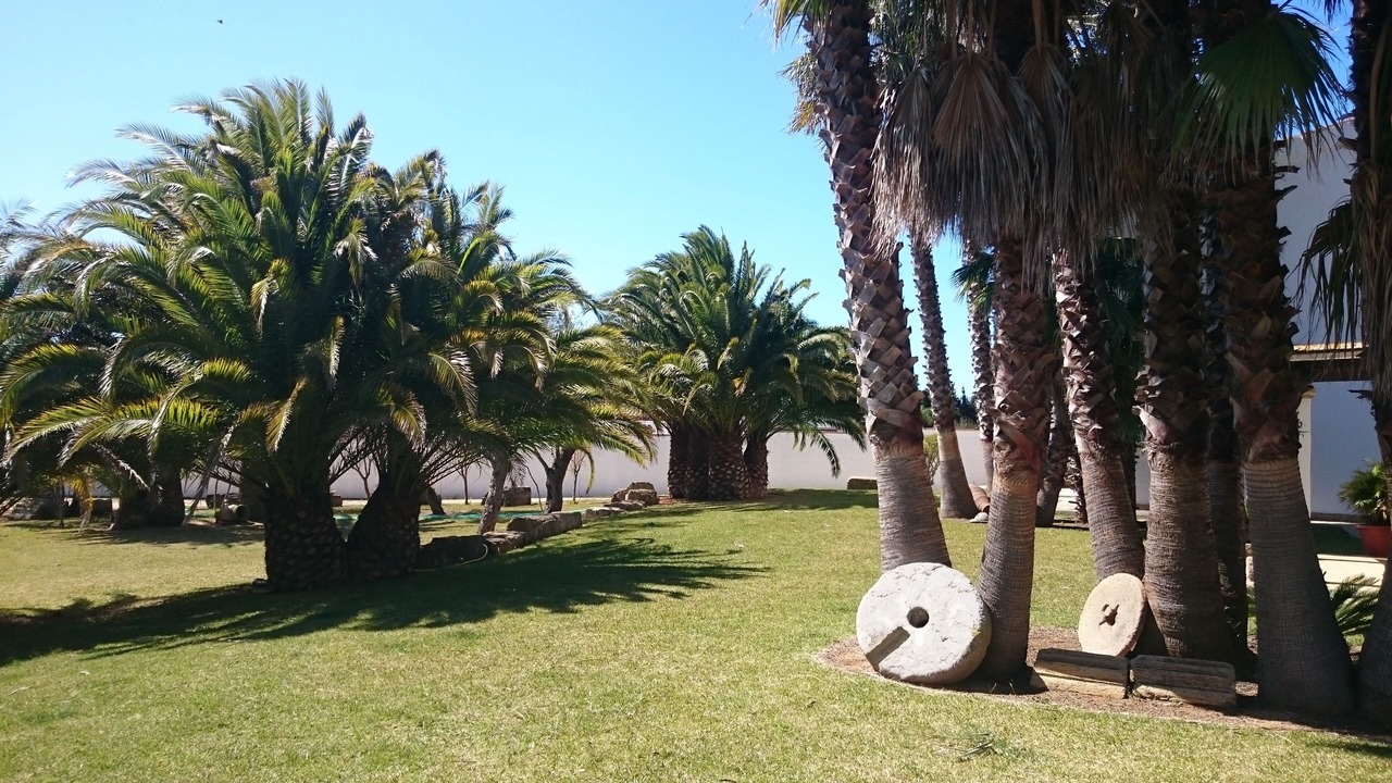 Photo of Outdoor in Conil de la Frontera