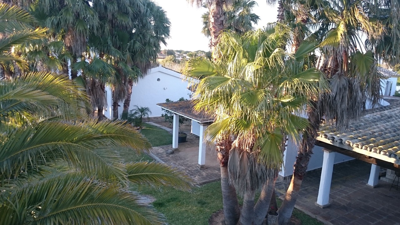 Photo of Outdoor in Conil de la Frontera