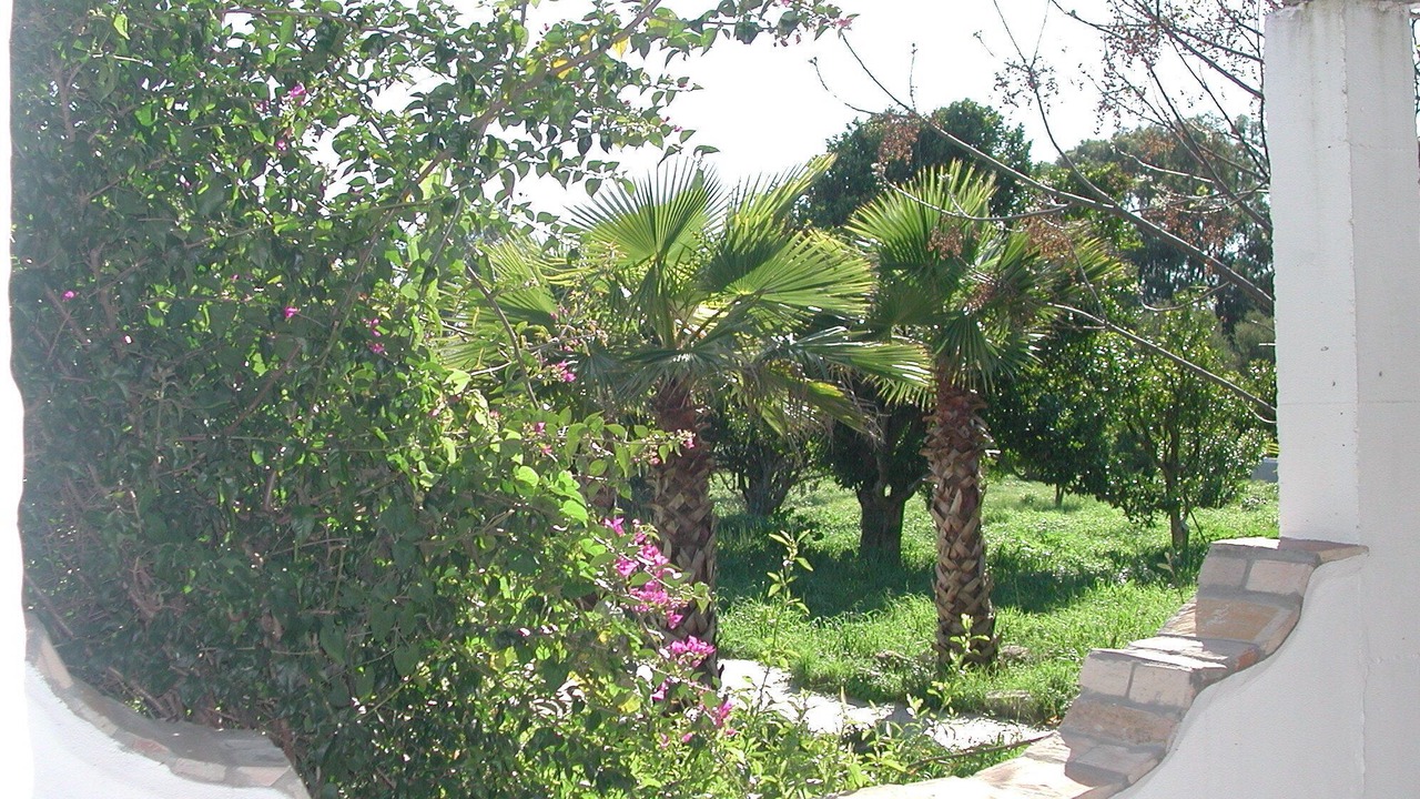 Photo of Outdoor in San Ambrosio