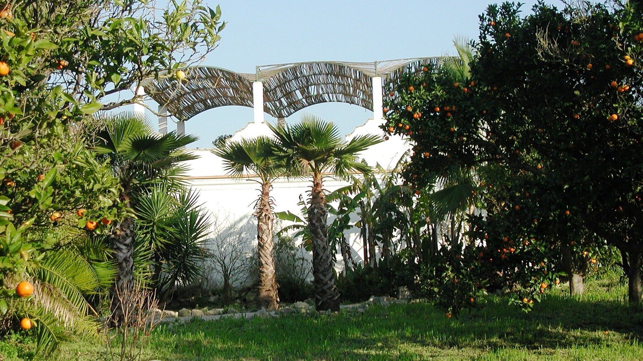 Photo of Outdoor in San Ambrosio