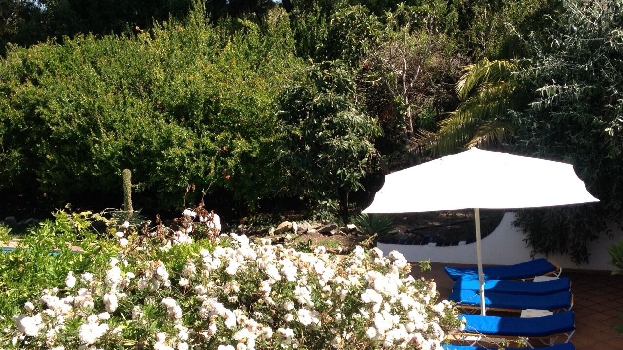Photo of Outdoor in San Ambrosio