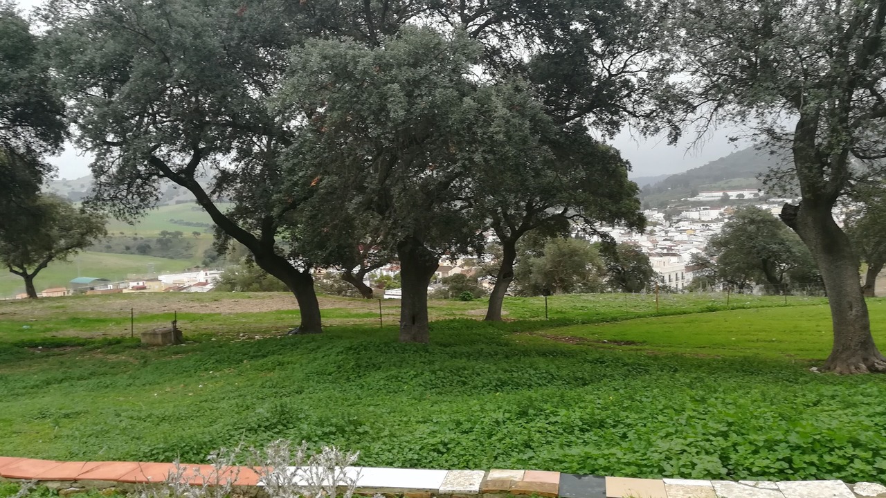 Photo of Outdoor in San Jose del Valle