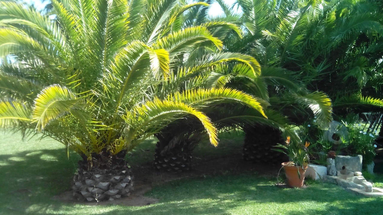 Photo of Outdoor in Conil de la Frontera