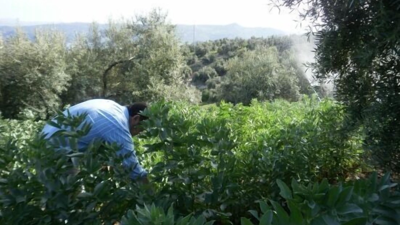Photo of Outdoor in Rute