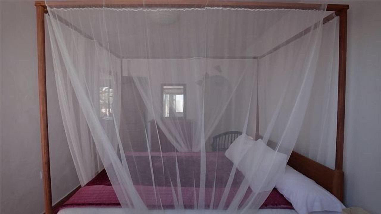 Photo of Bedroom in Barbate