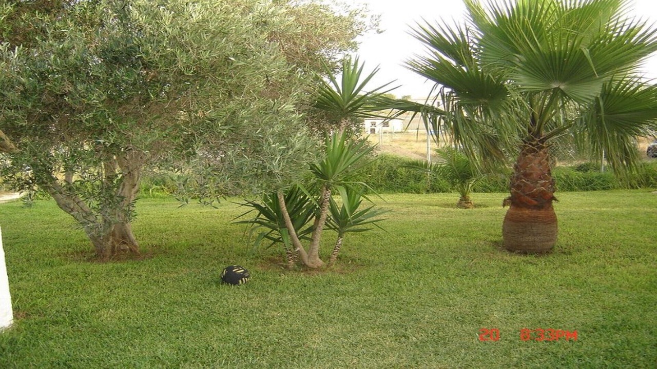 Photo of Outdoor in Los Franceses-la Vega