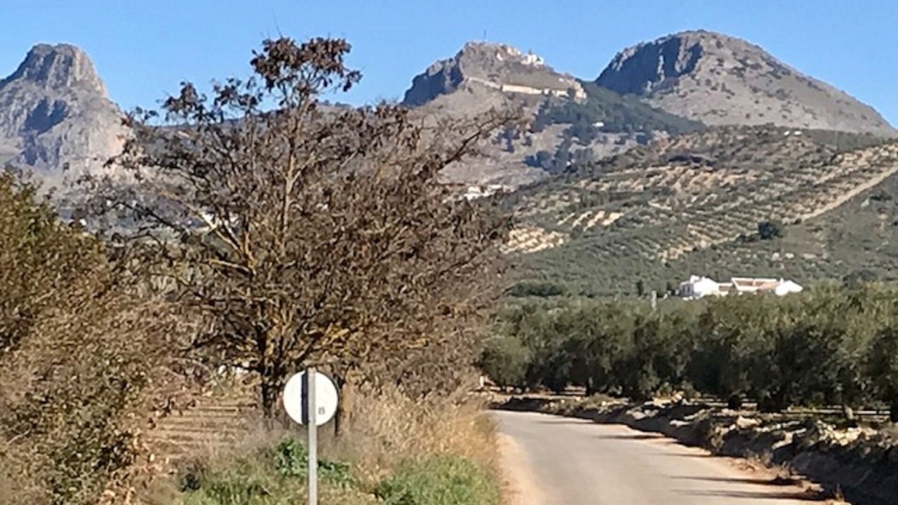 Photo of Outdoor in Archidona