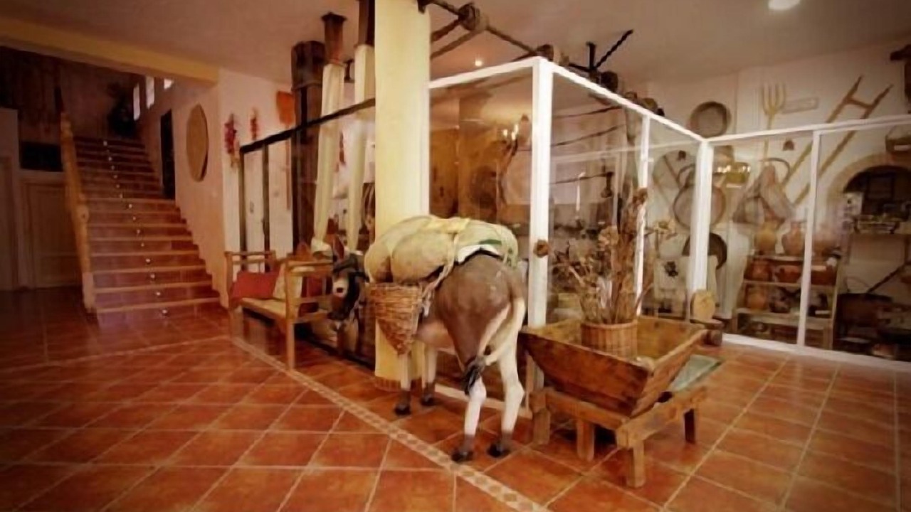 Photo of Others in Cotillas