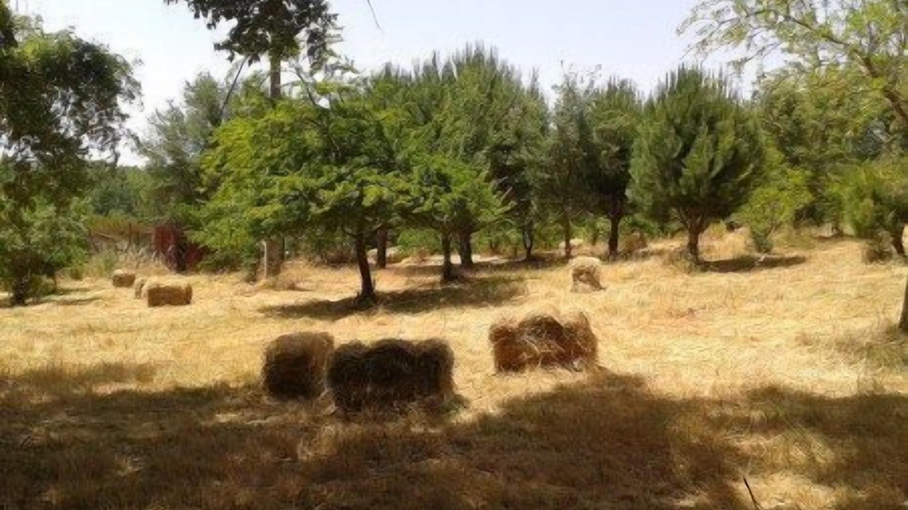 Photo of Outdoor in Cortelazor