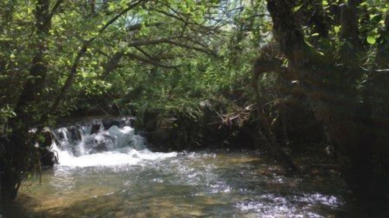 Photo of Outdoor in Cortelazor