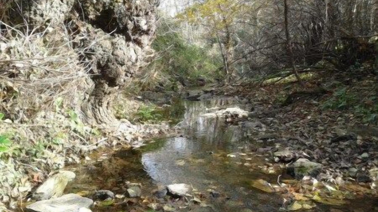 Photo of Outdoor in Cortelazor