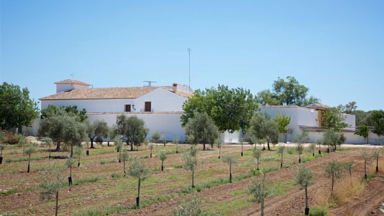 Photo of Outdoor in Humilladero