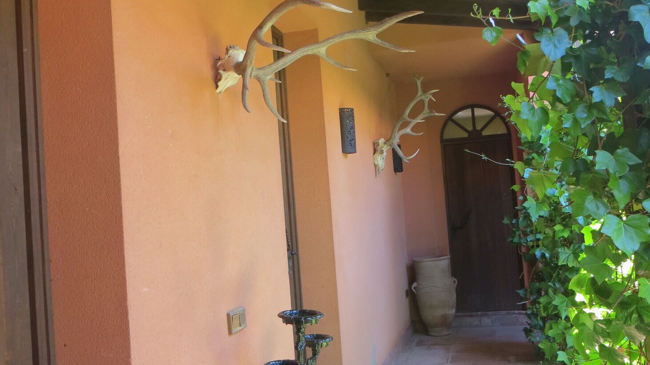 Photo of Outdoor in Medina-Sidonia