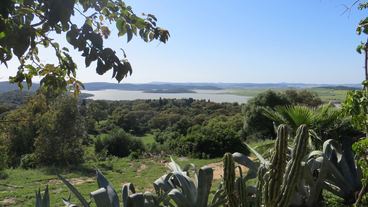Photo of Outdoor in Medina-Sidonia