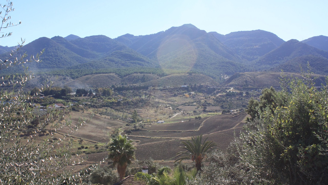 Photo of Others in Alhaurin de la Torre