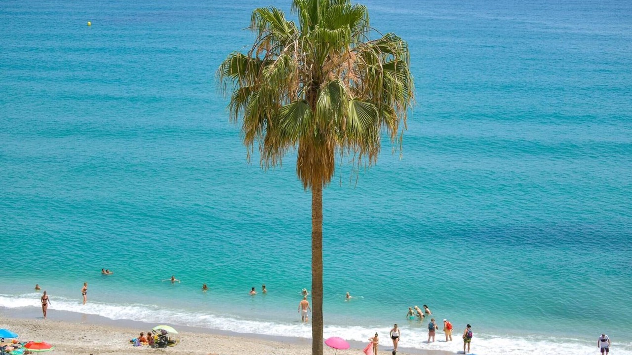 Photo of Others in Torrox Costa