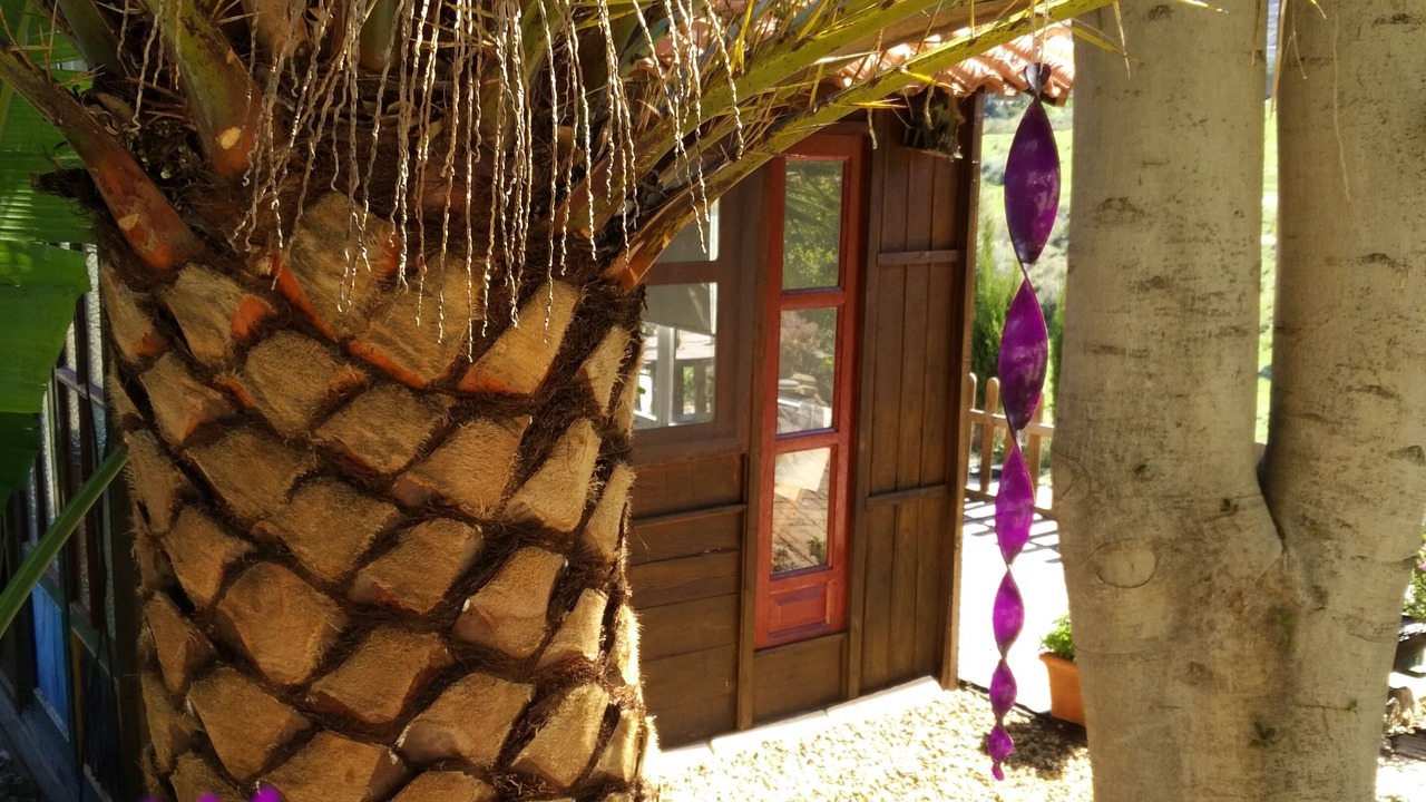 Photo of Outdoor in Turre