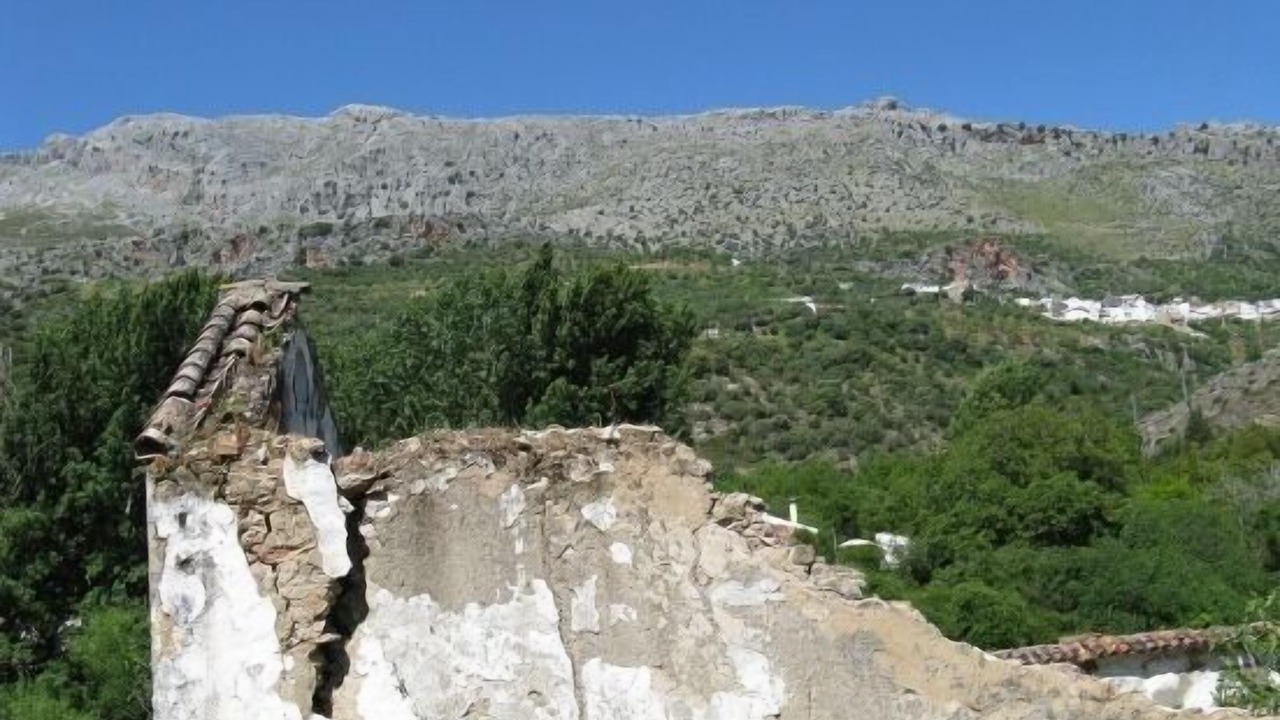 Photo of Outdoor in Benaojan