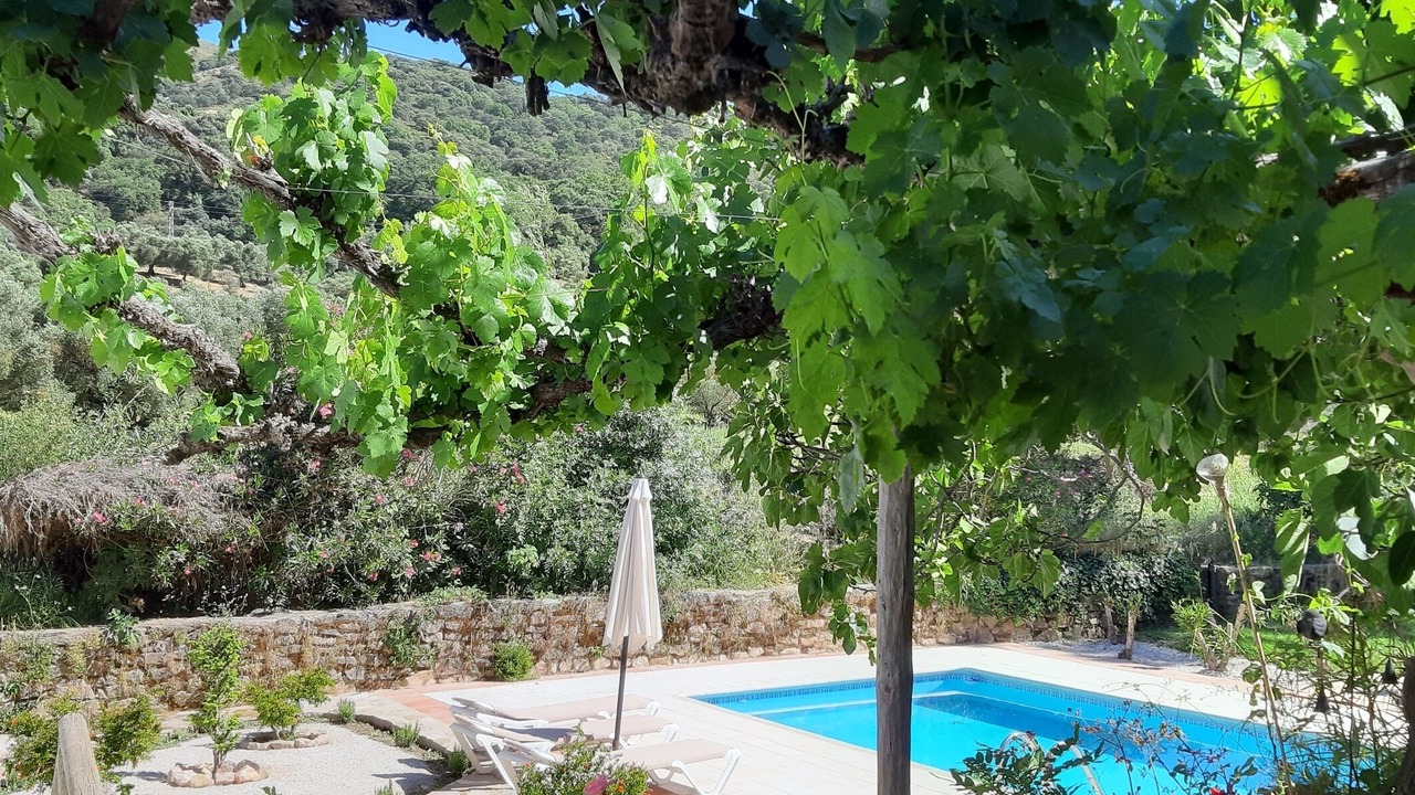 Photo of Outdoor in Benaojan