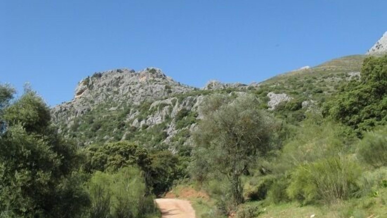 Photo of Outdoor in Benaojan