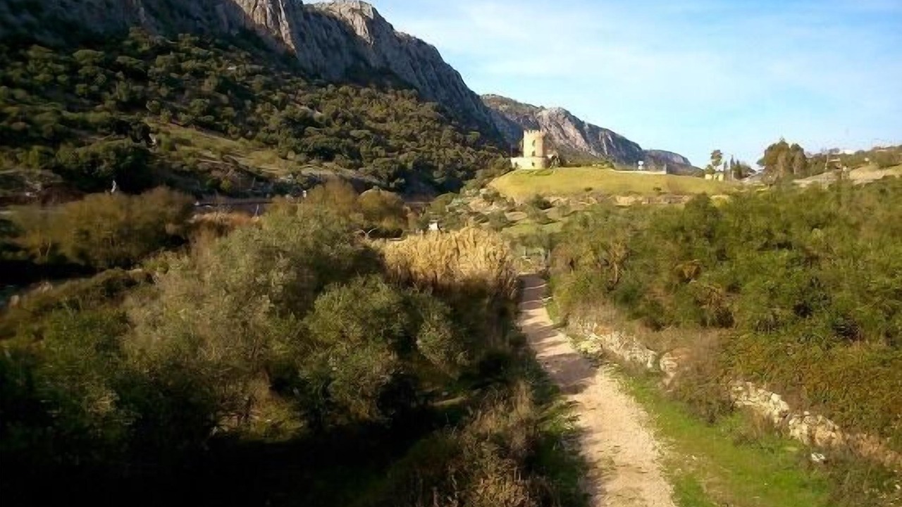 Photo of Outdoor in Benaojan