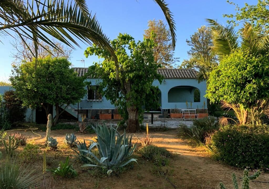 Photo of Outdoor in Arahal