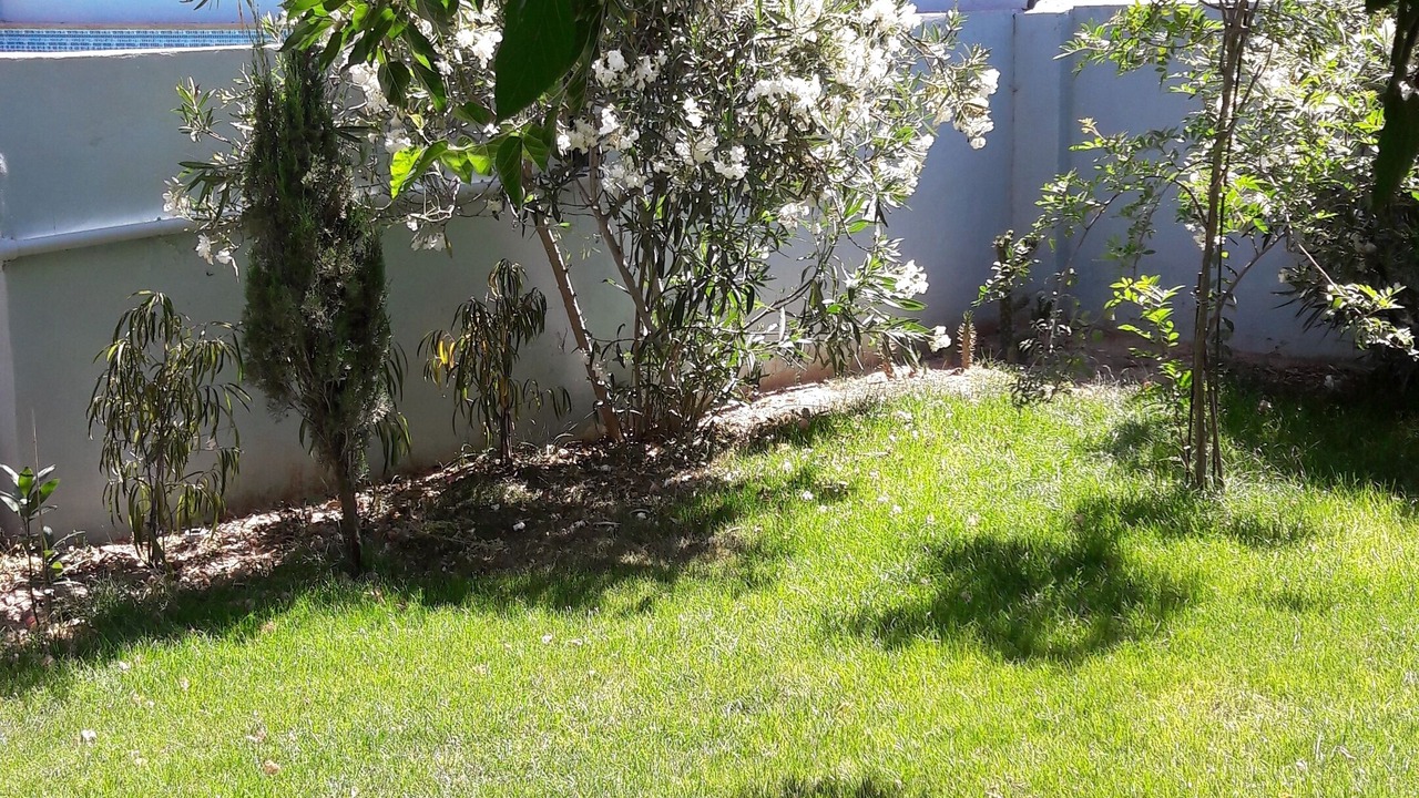Photo of Outdoor in Arahal