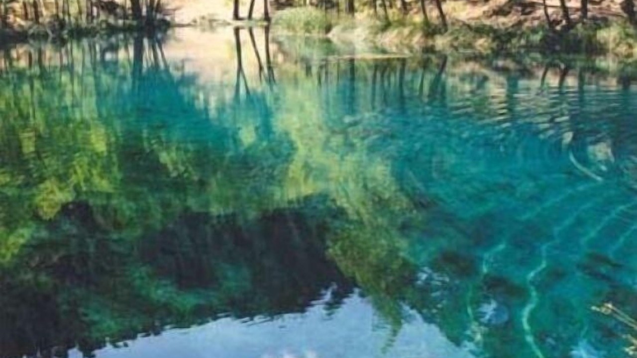 Photo of Outdoor in Cotillas