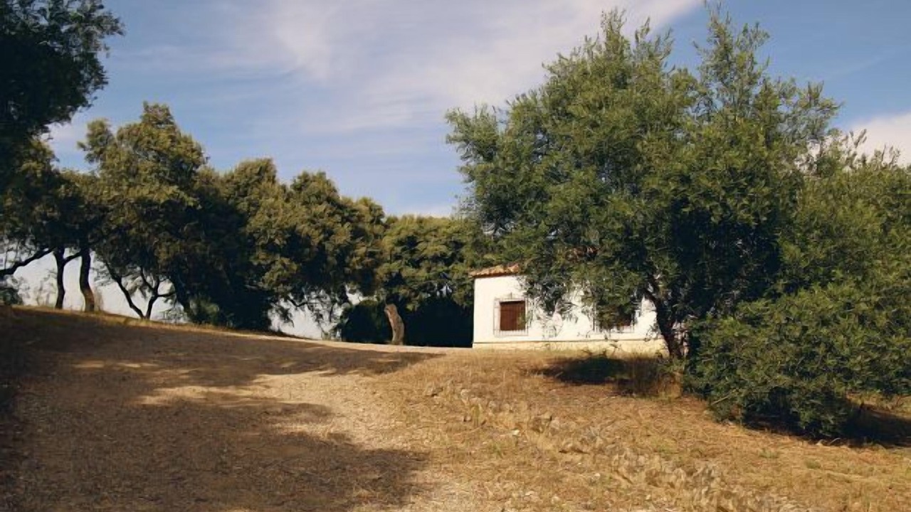 Photo of Outdoor in Posadas