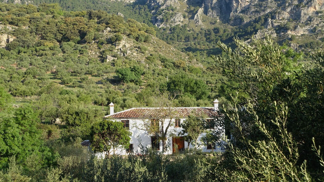 Photo of Outdoor in Grazalema