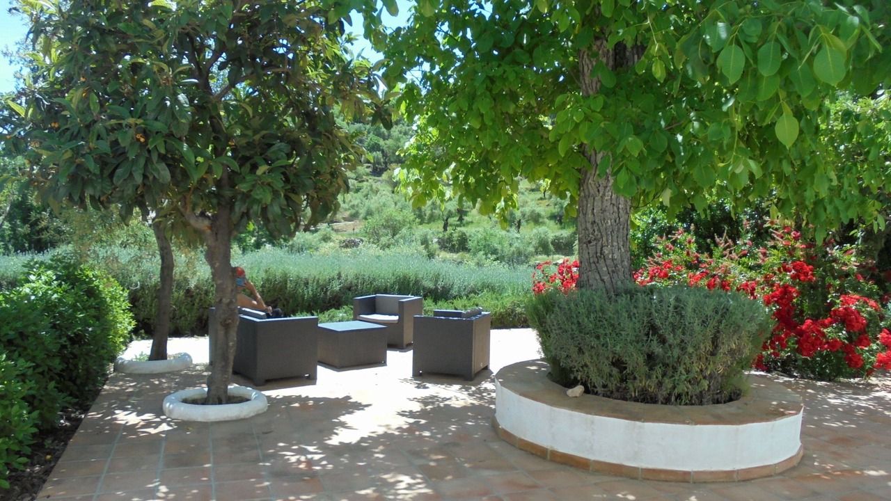 Photo of Patio Balcony in Grazalema