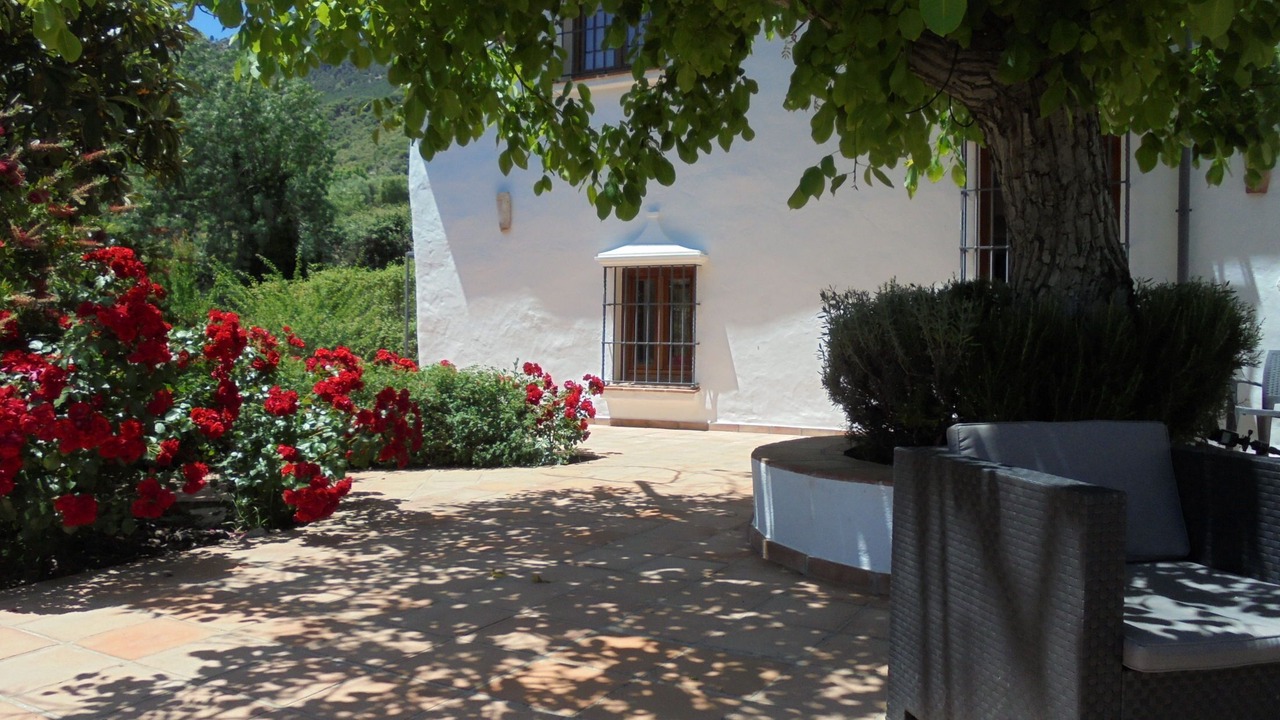 Photo of Patio Balcony in Grazalema