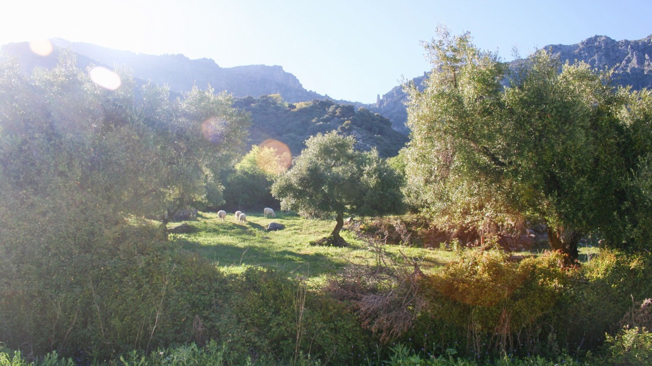 Photo of Others in Grazalema
