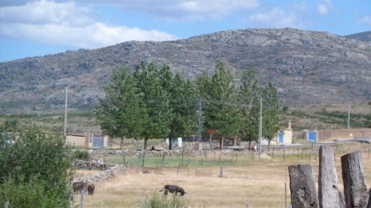Photo of Outdoor in Baterna