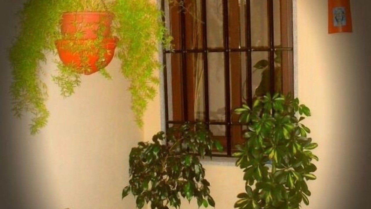 Photo of Others in Alcaracejos