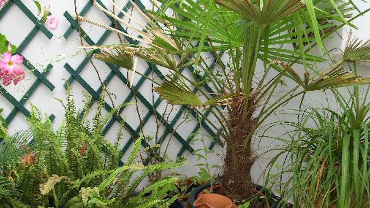 Photo of Outdoor in Villanueva de la Concepcion