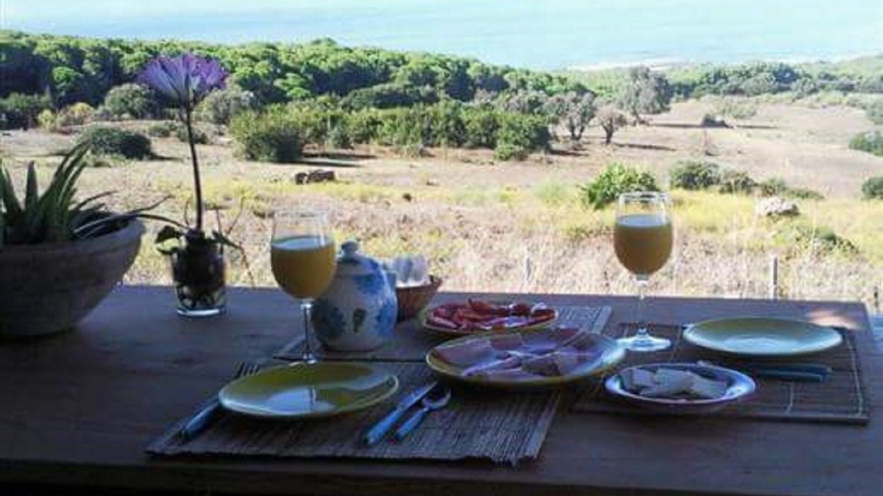 Photo of Outdoor in Bolonia