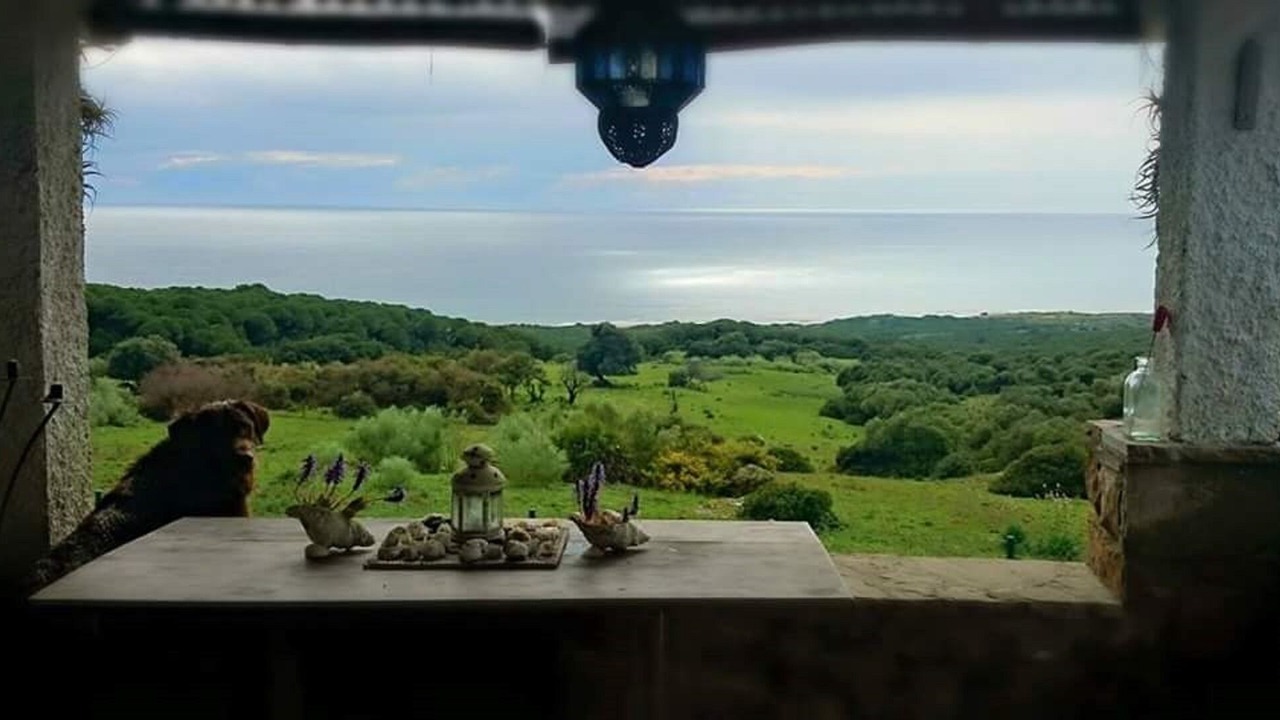 Photo of Outdoor in Bolonia