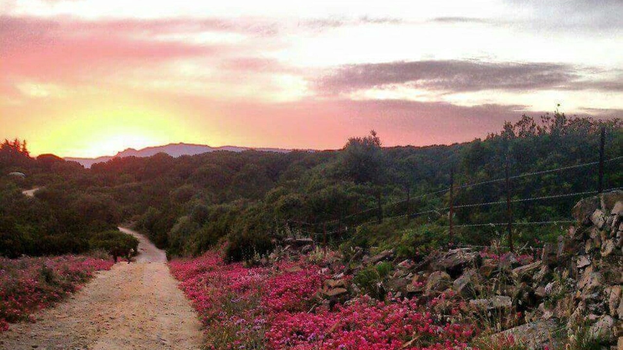 Photo of Outdoor in Bolonia