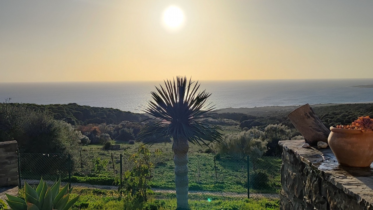 Photo of Outdoor in Bolonia